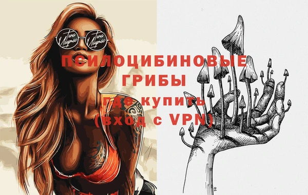 прущие грибы Алзамай