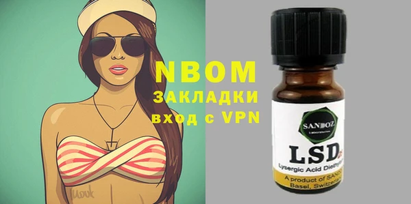 прущие грибы Новодвинск