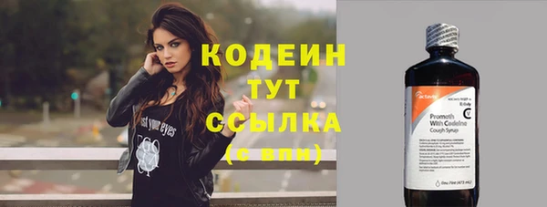 прущие грибы Новодвинск