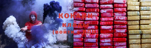прущие грибы Алзамай