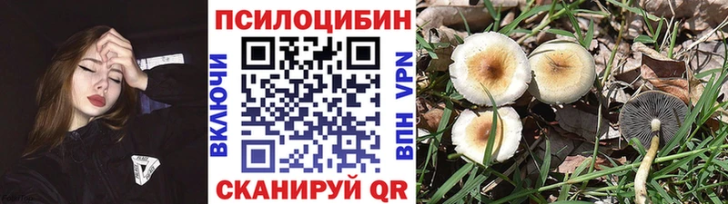 Галлюциногенные грибы Cubensis  Череповец 